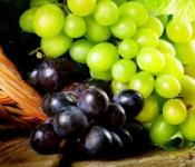Рецепт: Салаты с виноградом Салат с красным виноградом